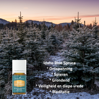 blog-Idaho-Blue-Spruce
